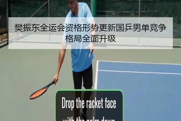 樊振东全运会资格形势更新国乒男单竞争格局全面升级