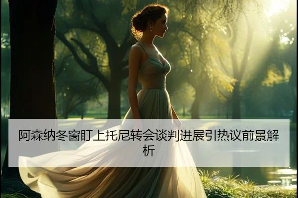 阿森纳冬窗盯上托尼转会谈判进展引热议前景解析